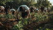 © JonathanOsborne - Forest restoring community project, people participate in community project to restore the forest and eco system