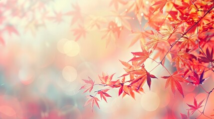 Poster - A close up of a leafy tree with red leaves