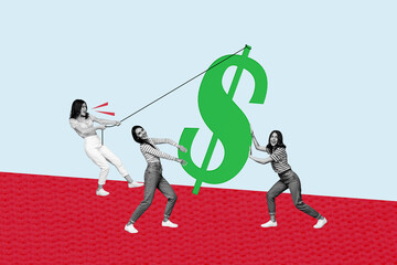 Sticker - Composite photo collage of three happy business girls partners pull dollar symbol currency earnings profit isolated on painted background