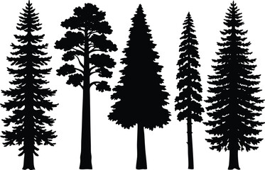 Silhouettes of different kind of Sequoia trees stock illustration.