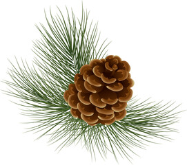 Wall Mural - Christmas tree with cones. Botanical illustration of Christmas tree branch for postcard design, invitation template, holiday cards, greetings. Forest pine branches with cones. vector. Eps 10.