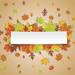 Wall Mural - autumn foliage explosion paper sticker cover