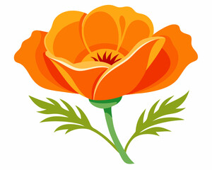 Poster - California Poppy Flower vector illustration on a white background