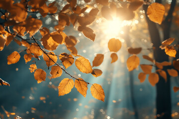Wall Mural - autumn foliage in warm sunlight