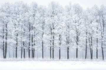 Sticker - A Row of Snow-Covered Trees in a Winter Forest