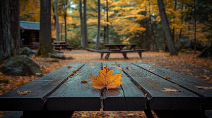 Capture the essence of autumn with vibrant golden leaves, a warm maple leaf resting on a wooden table in a serene forest setting. Find solace in a cozy camping spot amidst nature's embrace