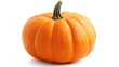 © AkuAku - Isolated orange pumpkin with green stem