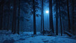 © Alevtina - Mystical winter forest at night, moonlight shining through trees, with snow covering ground