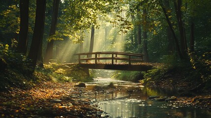 Wall Mural - a wooden bridge over a creek in the woods with sun beams shining through the trees.