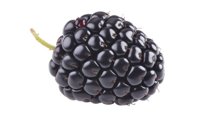 organic blackberry fruit image isolated transparent. ripe brambleberry cut out photo png. healthy de