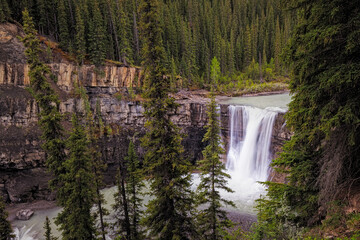 Wall Mural - Waterfall cascading down rocky cliff framed by evergreen trees