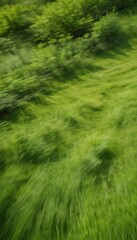 Aufkleber - A blurred lush green field with a sense of movement and speed, captured from a high angle