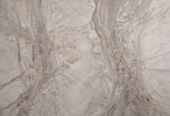Poster - a close-up view marble surface with a textured, swirling pattern of light and dark gray marble