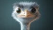 © Tyoma - A cartoonish looking ostrich with a big smile on its face