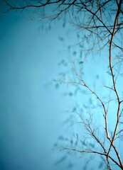 Aufkleber - A close-up view bare tree branch against a light blue background, with a blurred, indistinct pattern of branches and leaves