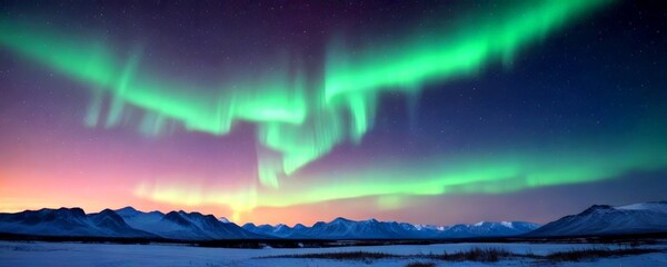 Poster - The Aurora Borealis, or Northern Lights, dance across the night sky, illuminating the snow-covered landscape below with a vibrant display of green, purple, and pink hues