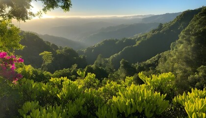 Lush green moss thriving on branches in a serene natural setting