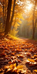 Poster - A tranquil autumn scene unfolds as a sunlit path meanders through a forest of trees adorned with vibrant orange leaves, casting a warm glow on the ground
