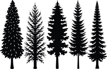 Silhouettes of different kind of Tamarack trees stock illustration.