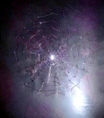 Aufkleber - A spider web glistens with dew, its intricate structure illuminated by a single light source, creating a captivating and ethereal scene