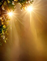Poster - Sunlight filters through the leaves tree, casting a warm glow on the surrounding foggy landscape