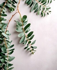 Poster - A close-up view branch with green leaves against a white background