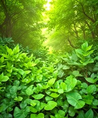 Poster - A dense thicket of lush green foliage, with sunlight filtering through the canopy, creates a serene and tranquil forest scene