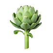 © Foxgrafy - Fresh artichoke on a transparent background