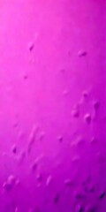 Leinwandbilder - a blurred purple background with small white dots scattered across it, creating a sense of movement and texture