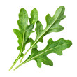 © Foxgrafy - Fresh arugula leaves on a transparent background