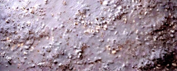 Poster - A close-up view textured, white surface with small, irregularly shaped specks or particles, resembling snow or a light dusting of powdered sugar