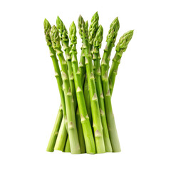 Fresh green asparagus bunch on a transparent background