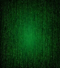 Leinwandbilder - The Matrix: A Visual Guide to Neo-Futuristic Technology