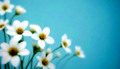 Poster - A cluster of delicate white flowers with yellow centers is set against a soft blue background