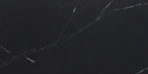 Fototapete - a close-up view black marble surface with a distinctive white marble pattern running across it