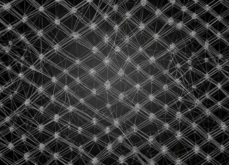 Fototapete - a close-up view black and white abstract pattern composed of numerous small white dots arranged in a grid-like structure