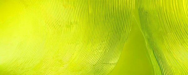 Aufkleber - a close-up view vibrant green leaf, with its intricate and overlapping veins creating a mesmerizing pattern
