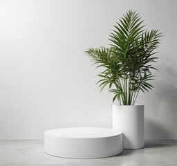 Fototapete - A potted palm plant with long, slender fronds stands on a white pedestal, contrasting with the plain white wall behind it.