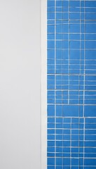 Leinwandbilder - a close-up view blue grid pattern on a white background