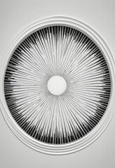 Fototapete - a circular design with a radial pattern of black and white lines radiating outwards from a central point, resembling a sunburst or a radial pattern.