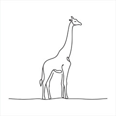 Wall Mural - single one line Giraffe silhouette on white background

