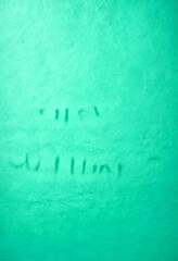Poster - a textured green wall with the word 