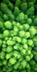 Aufkleber - Aerial view dense forest with a variety of green foliage