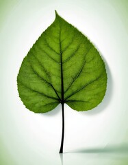 Poster - A large, vibrant green leaf with a pointed tip stands out against a light green background.