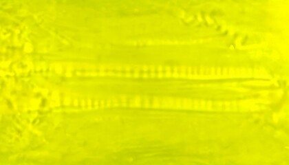 Poster - a close-up view green, textured surface, possibly a plant or a leaf, with a blurred, indistinct appearance due to the lack of focus
