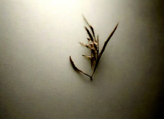 Aufkleber - A single, delicate plant stem with long, thin leaves is suspended against a plain, light gray background