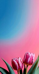 Aufkleber - Two pink tulips stand against a gradient background of blue and pink hues, creating a serene and visually appealing composition
