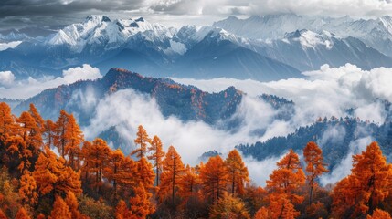 Wall Mural - The mountains are covered in snow and the trees are orange