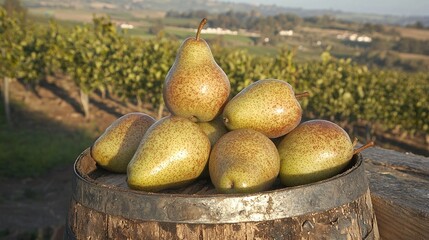 Sticker -   A cluster of pears atop a barrel amidst a field surrounded by trees