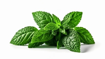 Wall Mural -  Fresh and vibrant mint leaves perfect for culinary or decorative use